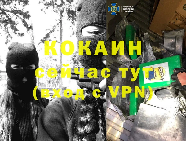индика Белокуриха