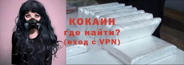 индика Белокуриха