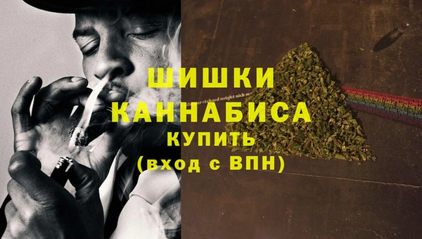 индика Белокуриха