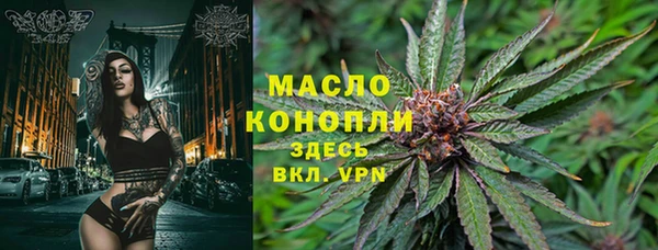индика Белокуриха